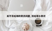 关于羽毛球的常识问题_羽毛球小常识