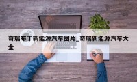 奇瑞布丁新能源汽车图片_奇瑞新能源汽车大全