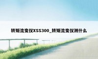 转矩流变仪XSS300_转矩流变仪测什么