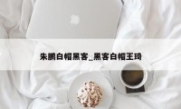 朱鹏白帽黑客_黑客白帽王琦