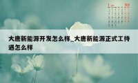 大唐新能源开发怎么样_大唐新能源正式工待遇怎么样