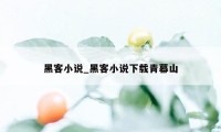 黑客小说_黑客小说下载青幕山