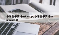 小米盒子支持mkvapp_小米盒子支持miracast吗