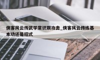 侠客风云传武学常识跟攻击_侠客风云传练基本功还是招式