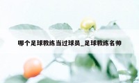 哪个足球教练当过球员_足球教练名帅