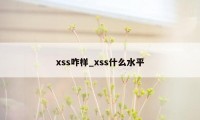 xss咋样_xss什么水平