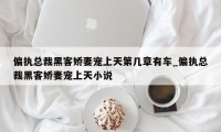 偏执总裁黑客娇妻宠上天第几章有车_偏执总裁黑客娇妻宠上天小说