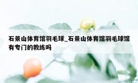 石景山体育馆羽毛球_石景山体育馆羽毛球馆有专门的教练吗