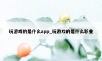 玩游戏的是什么app_玩游戏的是什么职业