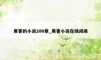 黑客的小说200章_黑客小说在线阅读