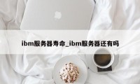 ibm服务器寿命_ibm服务器还有吗