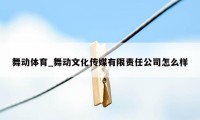 舞动体育_舞动文化传媒有限责任公司怎么样