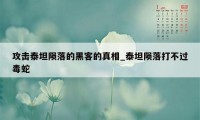 攻击泰坦陨落的黑客的真相_泰坦陨落打不过毒蛇