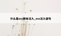 什么是xss脚本注入_xss注入语句