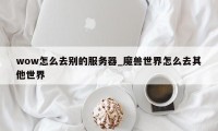 wow怎么去别的服务器_魔兽世界怎么去其他世界