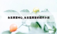 女主黑客叫Q_女主是黑客的现代小说