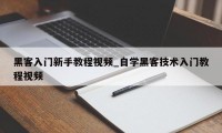 黑客入门新手教程视频_自学黑客技术入门教程视频