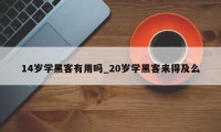 14岁学黑客有用吗_20岁学黑客来得及么