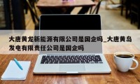 大唐黄龙新能源有限公司是国企吗_大唐黄岛发电有限责任公司是国企吗