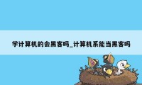 学计算机的会黑客吗_计算机系能当黑客吗