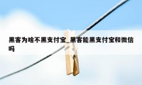 黑客为啥不黑支付宝_黑客能黑支付宝和微信吗