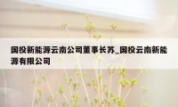 国投新能源云南公司董事长苏_国投云南新能源有限公司