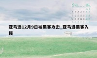 亚马逊12月9日被黑客攻击_亚马逊黑客入侵