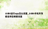 小米6运行app怎么设置_小米6手机开发者选项在哪里设置