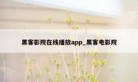 黑客影院在线播放app_黑客电影院