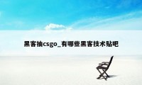 黑客抽csgo_有哪些黑客技术贴吧