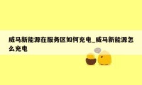 威马新能源在服务区如何充电_威马新能源怎么充电