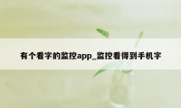 有个看字的监控app_监控看得到手机字