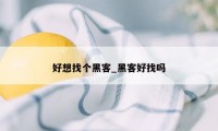 好想找个黑客_黑客好找吗