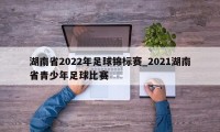 湖南省2022年足球锦标赛_2021湖南省青少年足球比赛