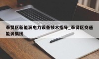 奉贤区新能源电力设备技术指导_奉贤区交通能源集团