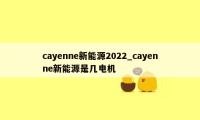 cayenne新能源2022_cayenne新能源是几电机