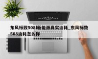 东风标致508l新能源真实油耗_东风标致508油耗怎么样