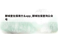 聊城查社保用什么app_聊城社保查询公众号