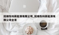 抚顺东科新能源有限公司_抚顺东科新能源有限公司全景