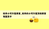 收养小可怜是黑客_收养的小可怜是顶级黑客鬼医圣手