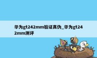 华为gt242mm验证真伪_华为gt242mm测评