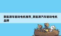 新能源车驱动电机推荐_新能源汽车驱动电机品牌