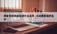 黑客军团到底在讲什么名字_小说黑客组织名字