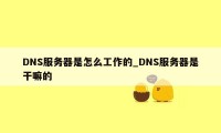 DNS服务器是怎么工作的_DNS服务器是干嘛的