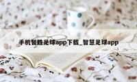 手机智胜足球app下载_智慧足球app