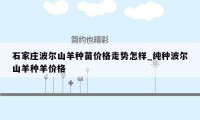 石家庄波尔山羊种苗价格走势怎样_纯种波尔山羊种羊价格