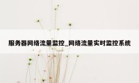 服务器网络流量监控_网络流量实时监控系统