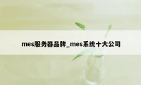 mes服务器品牌_mes系统十大公司