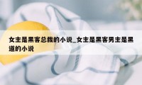 女主是黑客总裁的小说_女主是黑客男主是黑道的小说