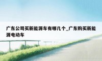 广东公司买新能源车有哪几个_广东购买新能源电动车